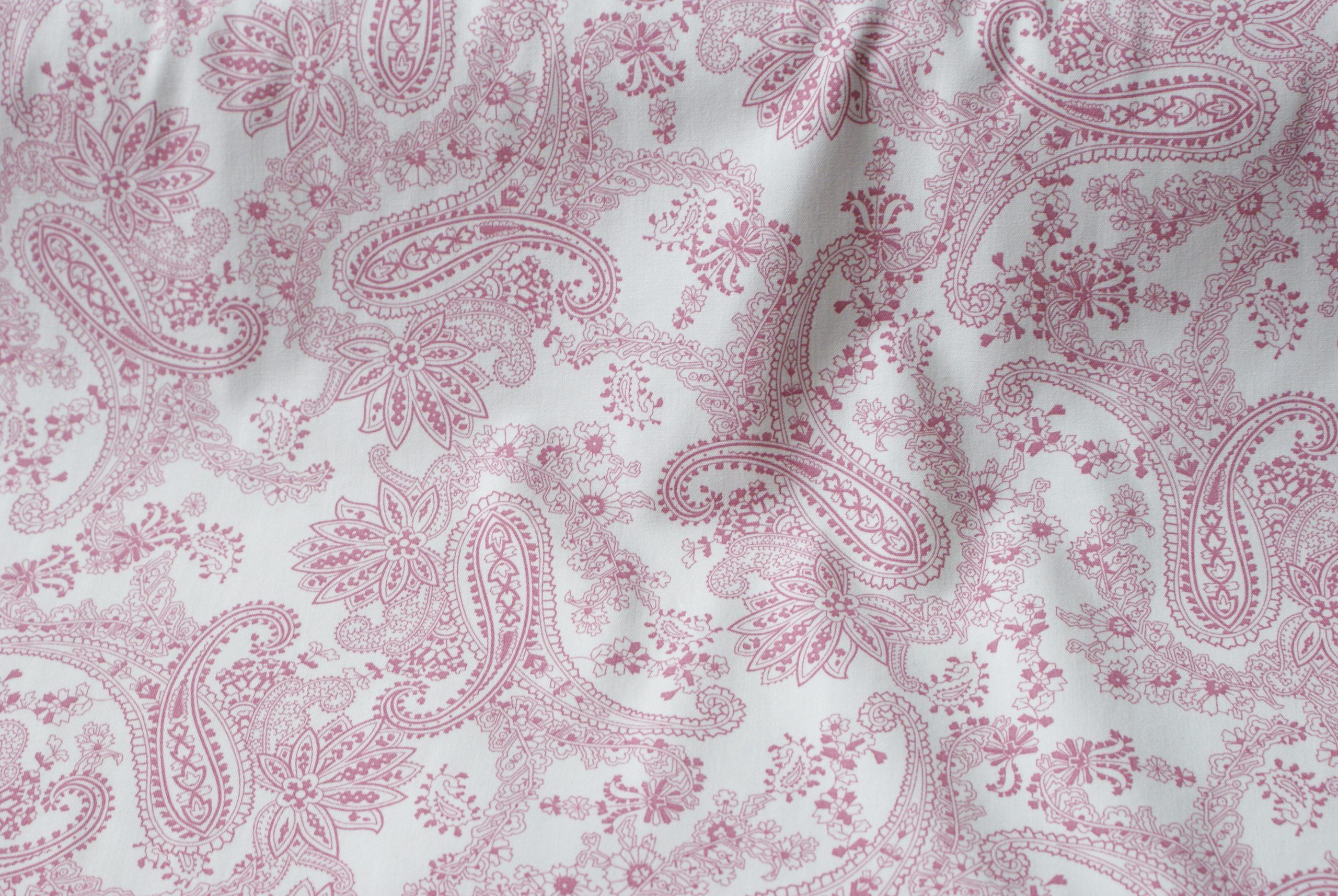 Loneta Claudia Lt 116 1 Loneta Claudia Lt 116