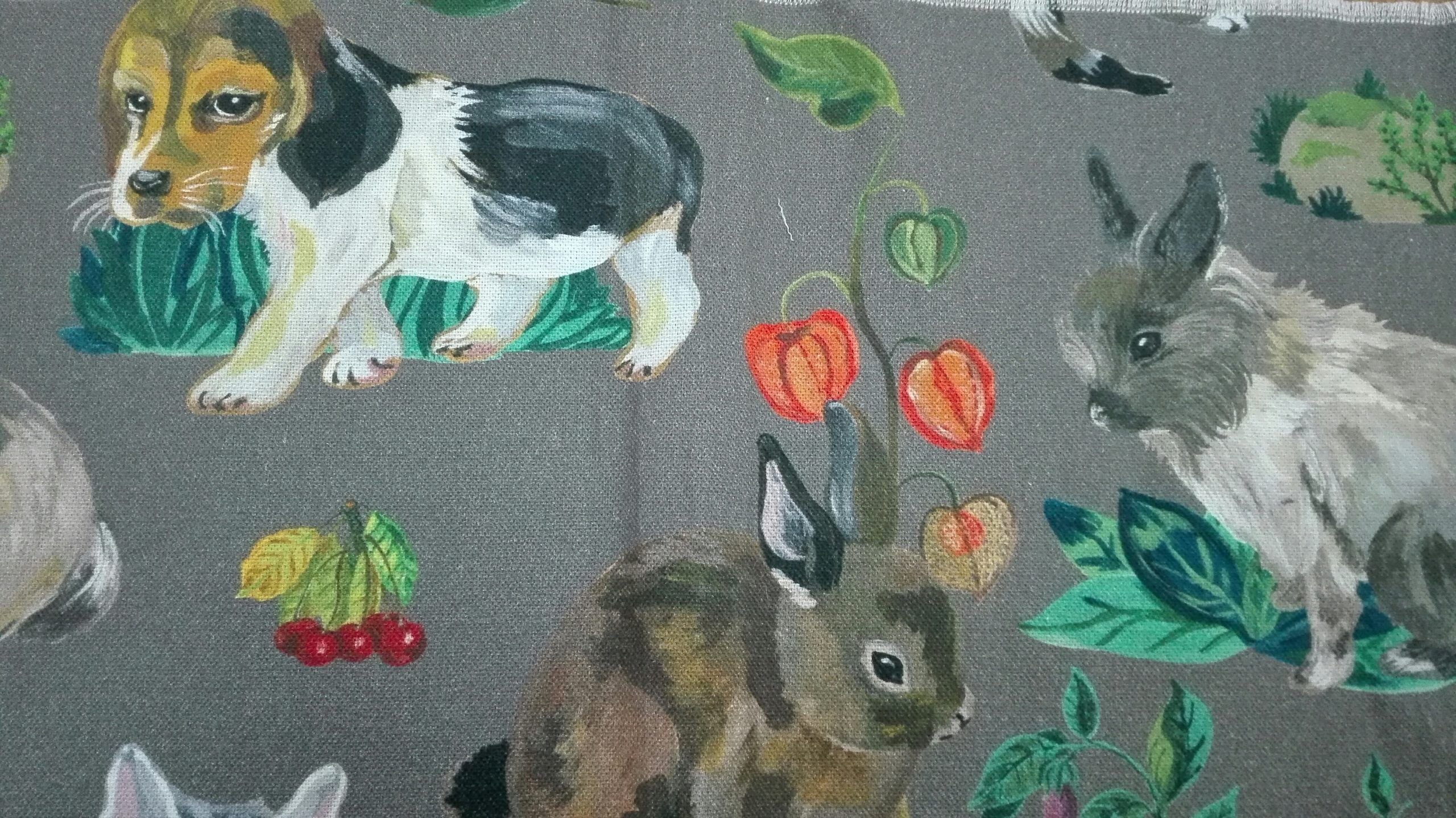 BEBES ANIMAUX 1 BEBES ANIMAUX