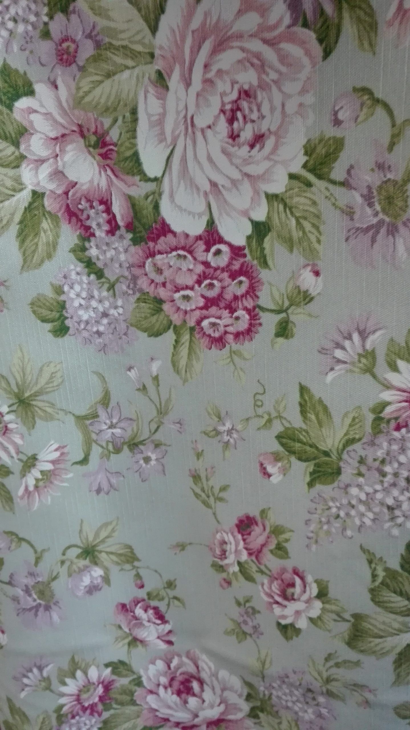 MILTON SIMUN 55 2 MILTON SIMUN 55 - Imagen 2